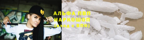 прущие грибы Алзамай
