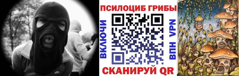 Псилоцибиновые грибы прущие грибы  где можно купить   кракен   Арамиль 